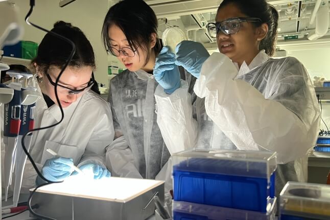 Three high school students wearing white lab coats stand over a gene editing experiment