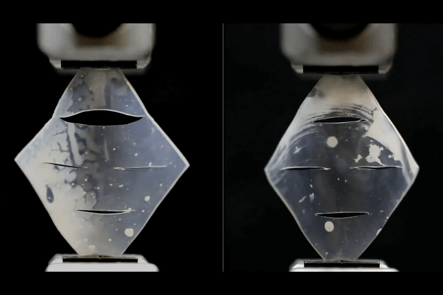 Picture of cracks growing in the left sample while staying intact in the right sample